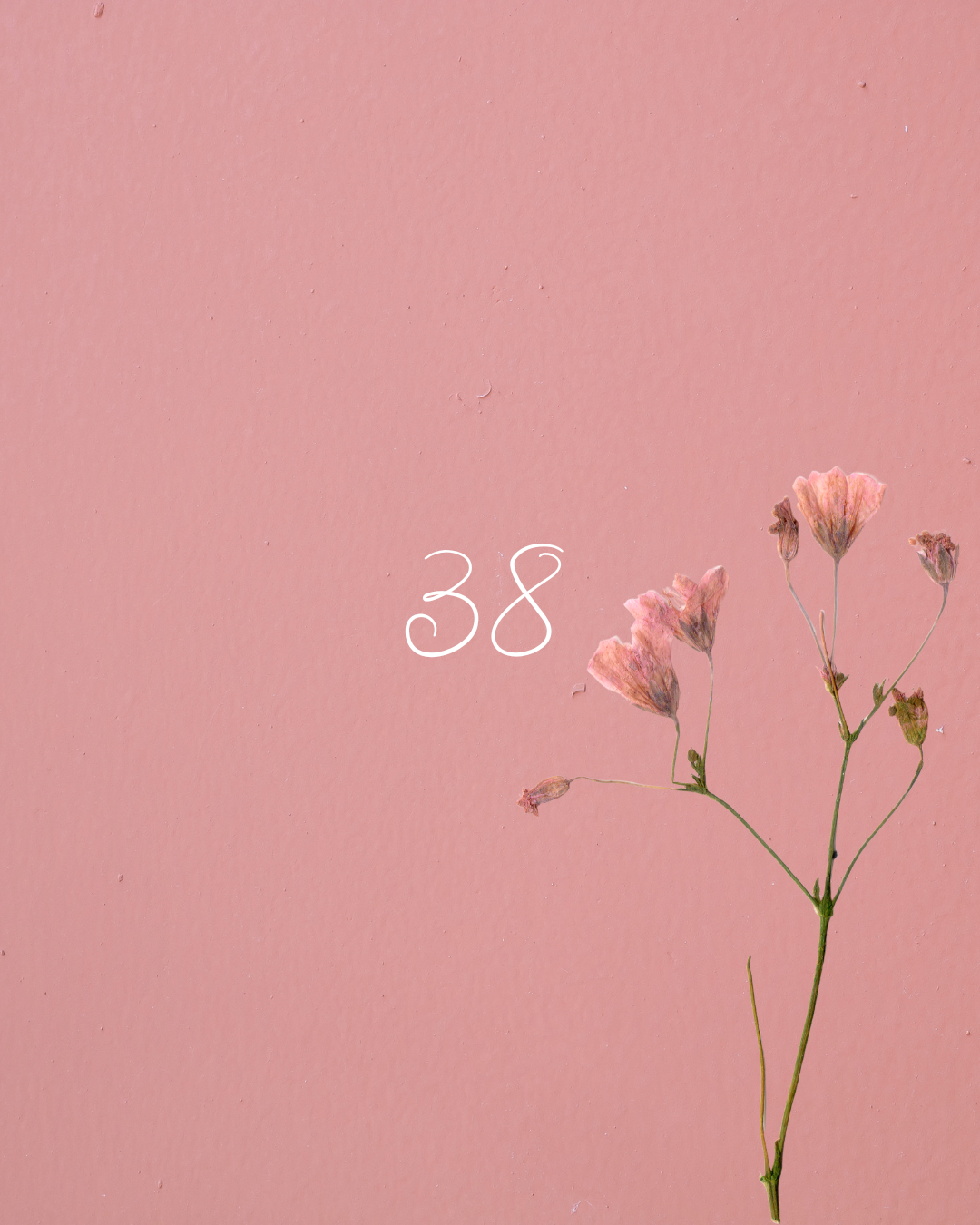 38