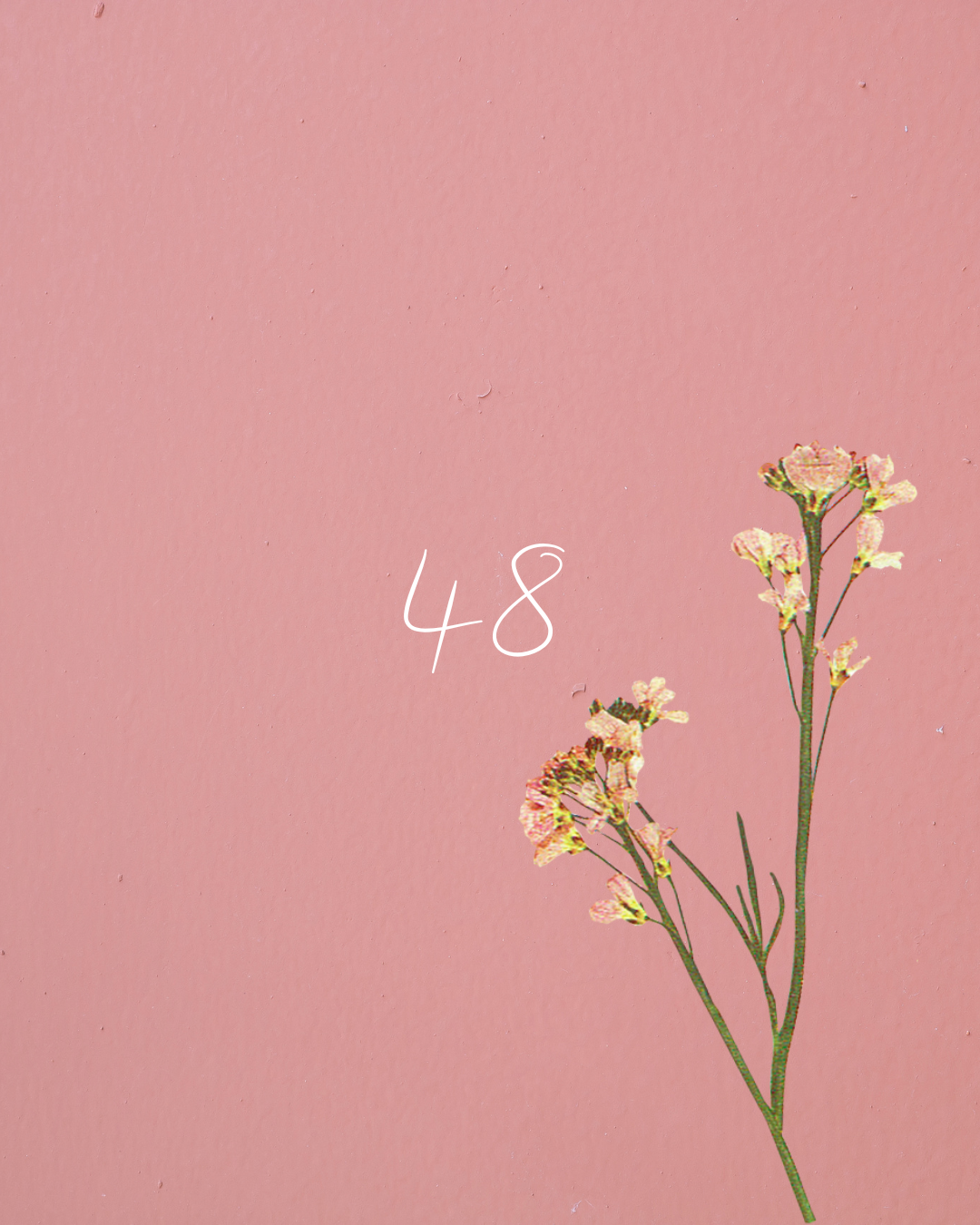 48
