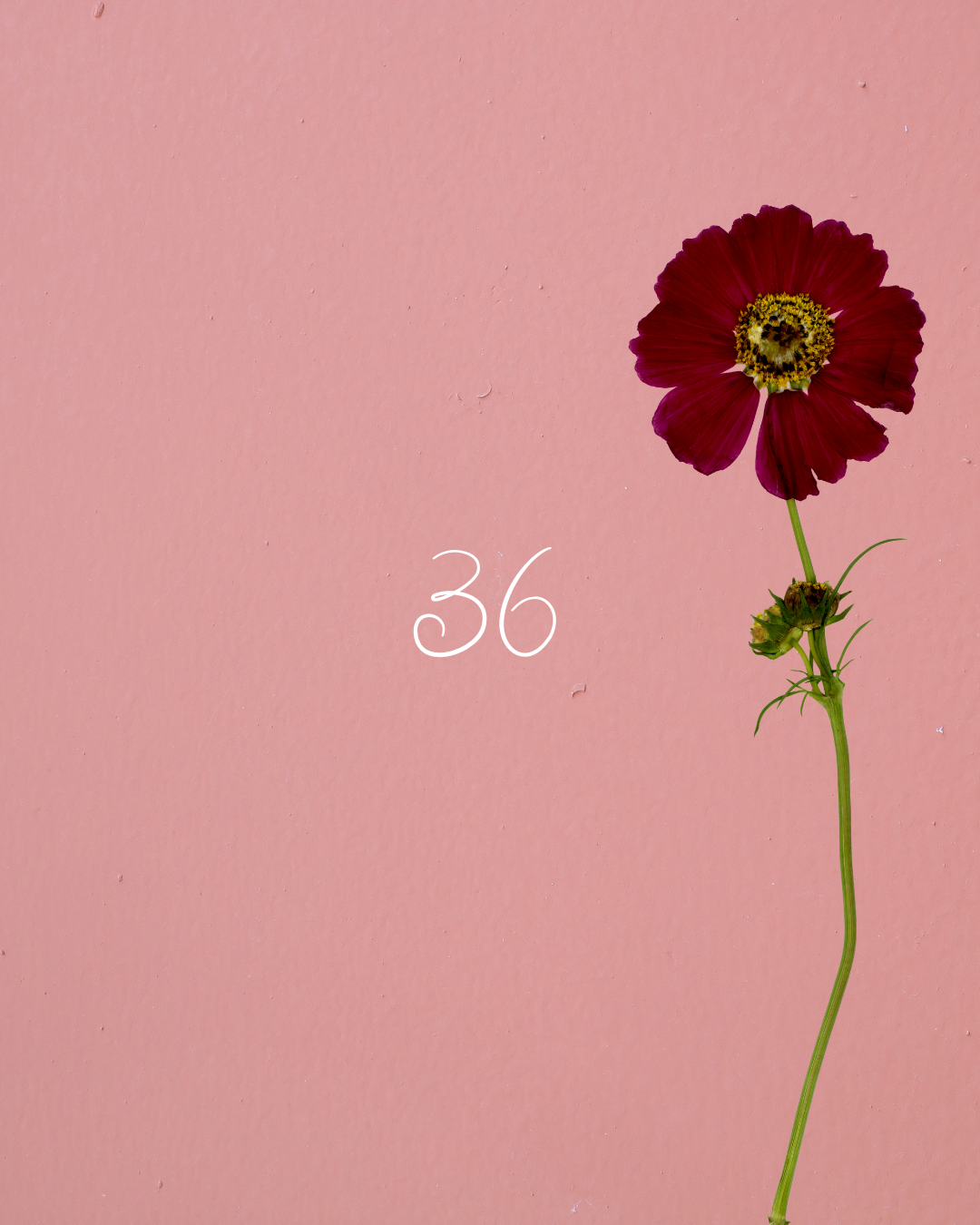 36