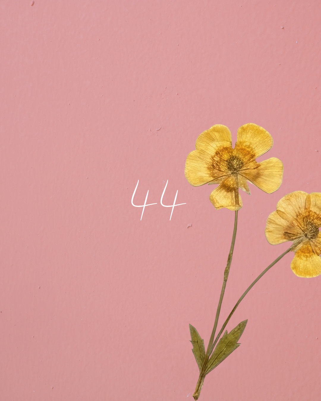 44