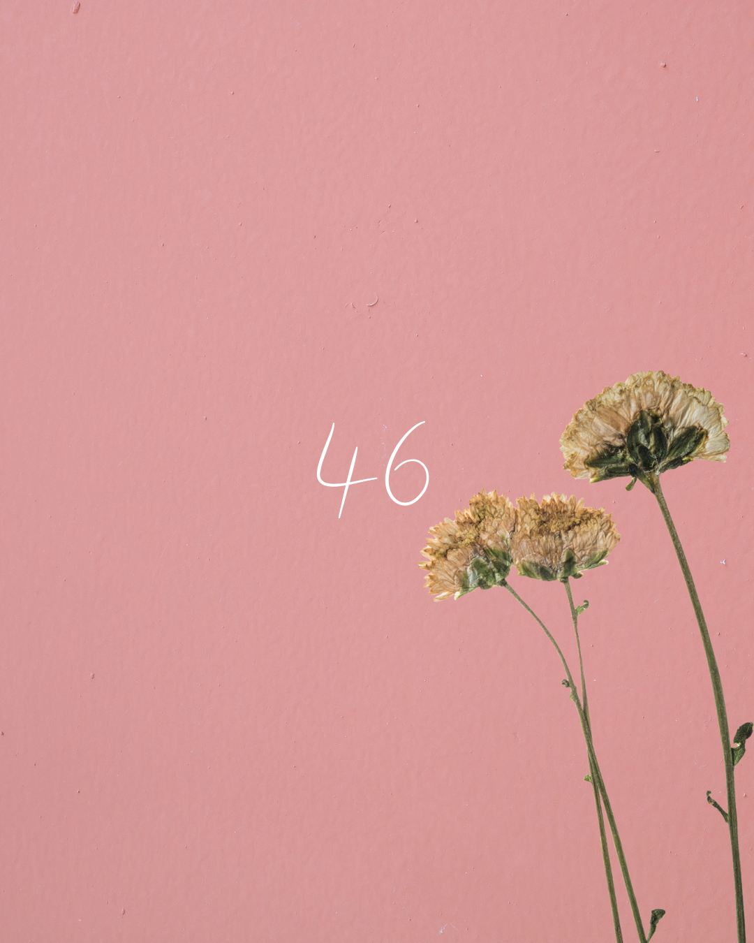 46